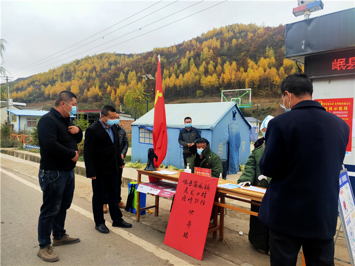 岷县纪委监委监督检查组在蒲麻镇虎龙口监测点开展监督检查，拍摄者 王翠红_副本.jpg